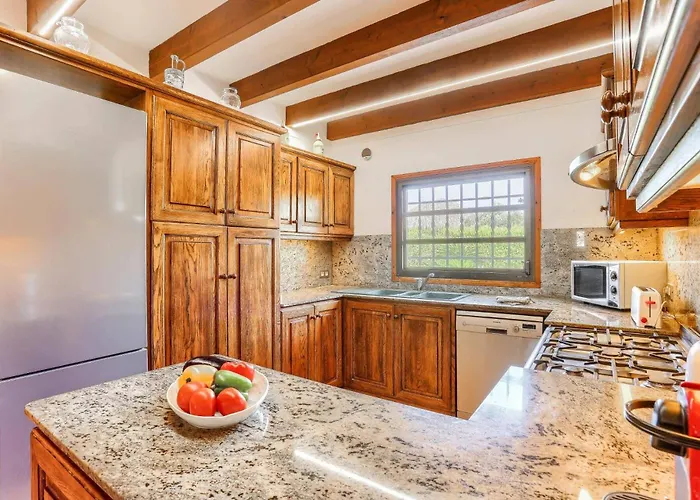 Villa Vinya Maria By